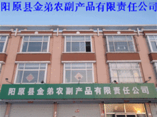 進出口代理助力發(fā)展 陽原縣金弟農(nóng)副產(chǎn)品有限責任公司的農(nóng)副產(chǎn)品全球化之路