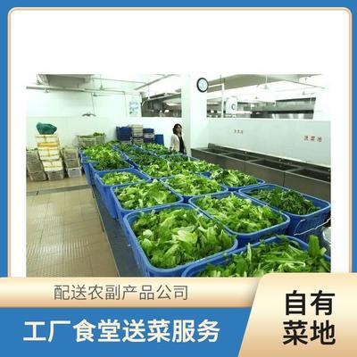 東莞蔬菜配送服務(wù) 保障新鮮農(nóng)副產(chǎn)品直達餐桌