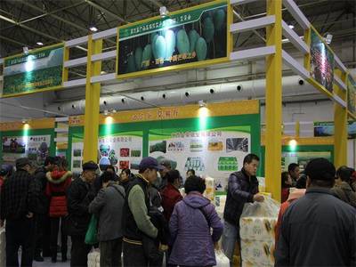 德合鑫農(nóng)副產(chǎn)品展銷會“廣西行”啟動，首站落戶百色，助力農(nóng)副產(chǎn)品走向全國