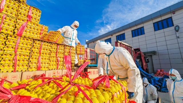 佛山南海建成消費幫扶黔貨入粵集散地，助力優(yōu)質(zhì)農(nóng)產(chǎn)品流通